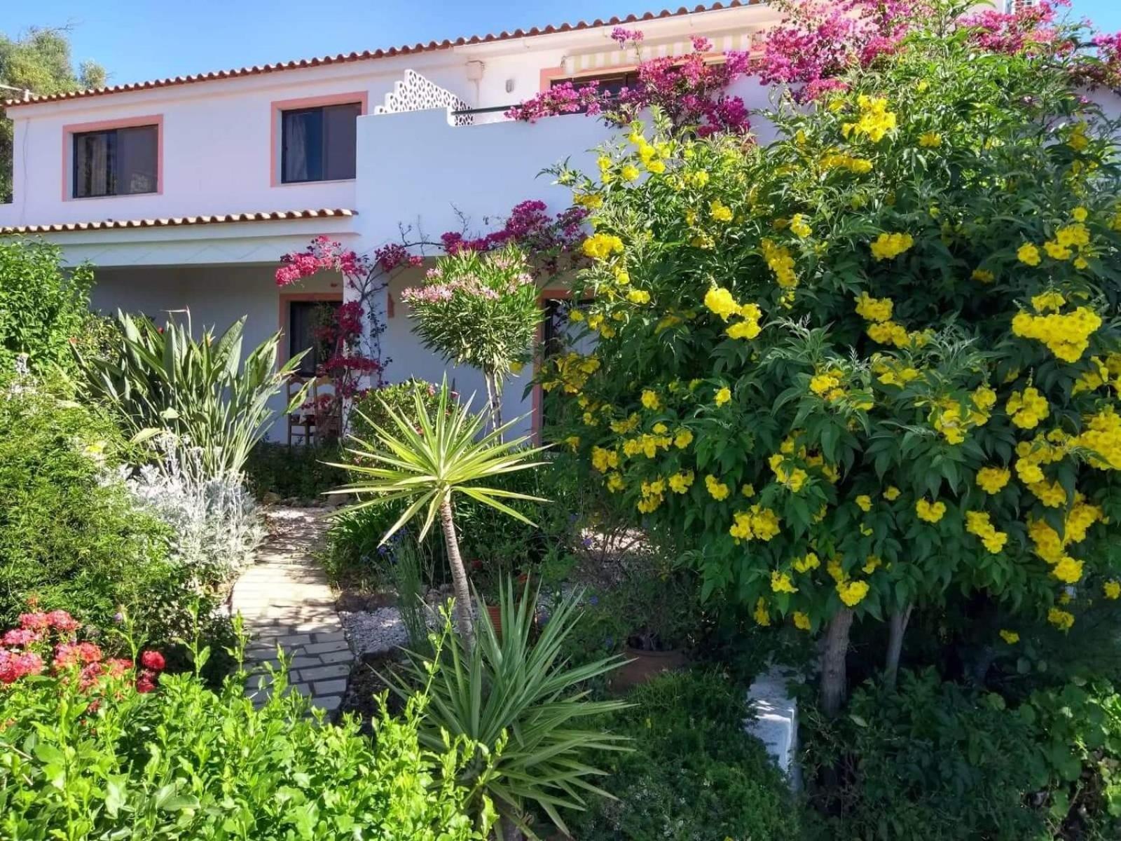 Feliz Apartments Sao Bartolomeu de Messines Exterior photo